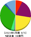 日本動物高度医療センター 貸借対照表 2023年6月期