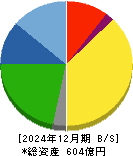 ステラケミファ 貸借対照表 2024年12月期