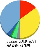 コーチ・エィ 貸借対照表 2024年12月期