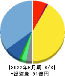メドピア 貸借対照表 2022年6月期