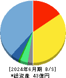 コーチ・エィ 貸借対照表 2024年6月期