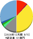 データ・アプリケーション 貸借対照表 2024年12月期