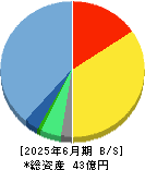 コーチ・エィ 貸借対照表 2025年6月期
