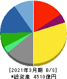 TIS 貸借対照表 2021年3月期 TIS 貸借対照表 2021年3月期