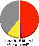 サイジニア 損益計算書 2021年6月期 サイジニア 損益計算書 2021年6月期