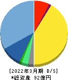 メドピア 貸借対照表 2022年3月期