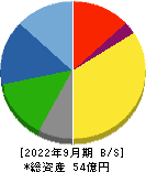 日本アイ・エス・ケイ 貸借対照表 2022年9月期