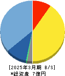Ｇｅｏｌｏｃａｔｉｏｎ　Ｔｅｃｈｎｏｌｏｇｙ 貸借対照表 2025年3月期
