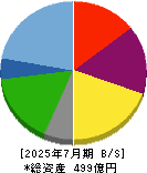 日本駐車場開発 貸借対照表 2025年7月期 日本駐車場開発 貸借対照表 2025年7月期