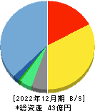 コーチ・エィ 貸借対照表 2022年12月期