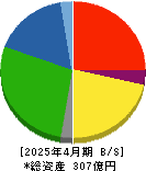 神島化学工業 貸借対照表 2025年4月期 神島化学工業 貸借対照表 2025年4月期