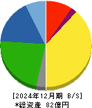 テイン 貸借対照表 2024年12月期