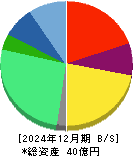 ＢＢＤイニシアティブ 貸借対照表 2024年12月期