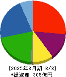 ビジネス・ワンホールディングス 貸借対照表 2025年3月期 ビジネス・ワンホールディングス 貸借対照表 2025年3月期