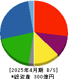 日東製網 貸借対照表 2025年4月期 日東製網 貸借対照表 2025年4月期