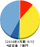 Ｇｅｏｌｏｃａｔｉｏｎ　Ｔｅｃｈｎｏｌｏｇｙ 貸借対照表 2024年9月期