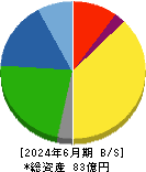 テイン 貸借対照表 2024年6月期