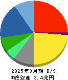 第一三共 貸借対照表 2025年3月期