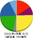 日華化学 貸借対照表 2022年3月期