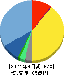 メドピア 貸借対照表 2021年9月期 メドピア 貸借対照表 2021年9月期