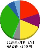 リソルホールディングス 貸借対照表 2025年3月期 リソルホールディングス 貸借対照表 2025年3月期