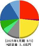 第一三共 貸借対照表 2025年6月期