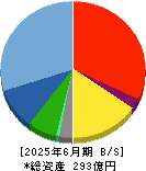 ウェルネット 貸借対照表 2025年6月期