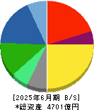 宝ホールディングス 貸借対照表 2025年6月期