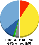 ケアネット 貸借対照表 2022年6月期