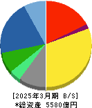 ＴＩＳ 貸借対照表 2025年3月期