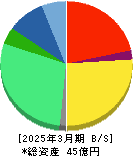 データセクション 貸借対照表 2025年3月期 データセクション 貸借対照表 2025年3月期