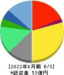 日本情報クリエイト 貸借対照表 2022年6月期