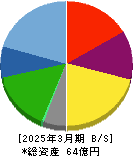 アミタホールディングス 貸借対照表 2025年3月期