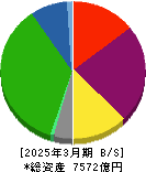 相鉄ホールディングス 貸借対照表 2025年3月期 相鉄ホールディングス 貸借対照表 2025年3月期