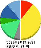 協和キリン 貸借対照表 2025年6月期
