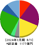 テスホールディングス 貸借対照表 2024年3月期