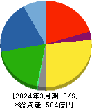 日華化学 貸借対照表 2024年3月期