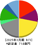 サンマルクホールディングス 貸借対照表 2025年3月期 サンマルクホールディングス 貸借対照表 2025年3月期