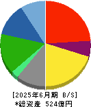 チャーム・ケア・コーポレーション 貸借対照表 2025年6月期