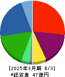 SDSホールディングス 貸借対照表 2025年3月期 SDSホールディングス 貸借対照表 2025年3月期