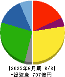 ニッピ 貸借対照表 2025年6月期