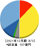 ケアネット 貸借対照表 2021年12月期 ケアネット 貸借対照表 2021年12月期