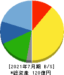 サムコ 貸借対照表 2021年7月期 サムコ 貸借対照表 2021年7月期