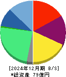 セルム 貸借対照表 2024年12月期