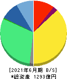 夢真ビーネックスグループ 貸借対照表 2021年6月期 夢真ビーネックスグループ 貸借対照表 2021年6月期