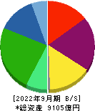 大王製紙 貸借対照表 2022年9月期