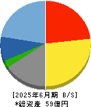 ＣＧＳホールディングス 貸借対照表 2025年6月期