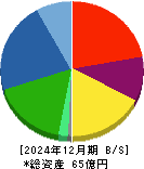 ＳＴＧ 貸借対照表 2024年12月期
