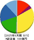 大研医器 貸借対照表 2025年6月期
