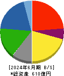 ダイニック 貸借対照表 2024年6月期